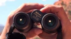Nikon Prostaff 7s 10x42 Binoculars featured image