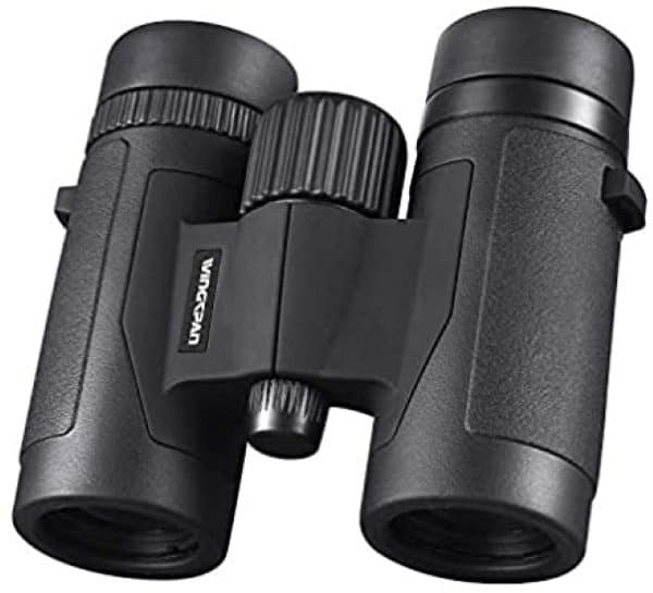 wingspan optics spectator 8x32 compact binoculars