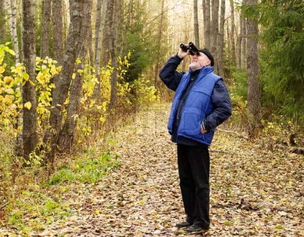 Best Binocular for Bird Watching