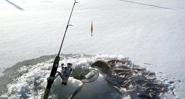 ice fishing lines